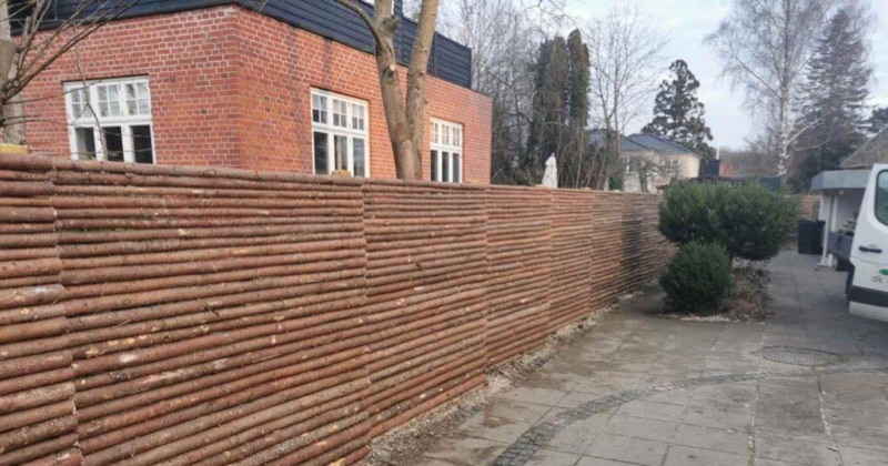 Raftehegn – nærbillede